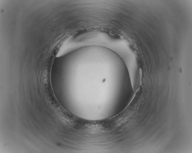 X0000081560689200701291150