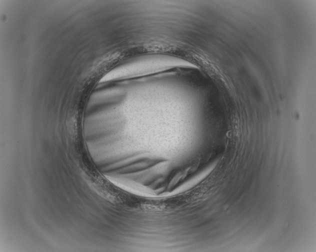 X0000081560690200701291150