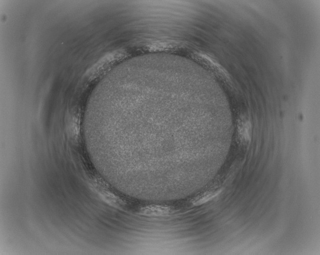 X0000081560691200701291150