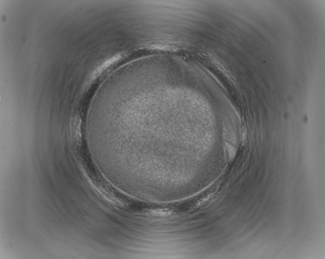 X0000081560692200701291150