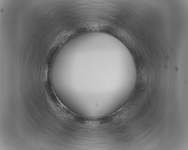 X0000081560694200701291150