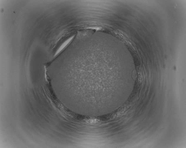 X0000081560695200701291150