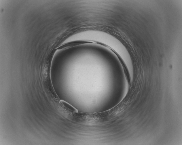 X0000081560697200701291150