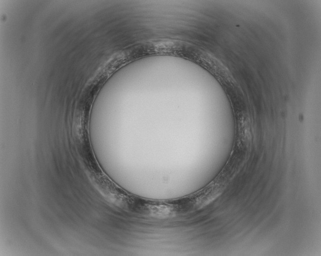 X0000081560698200701291150