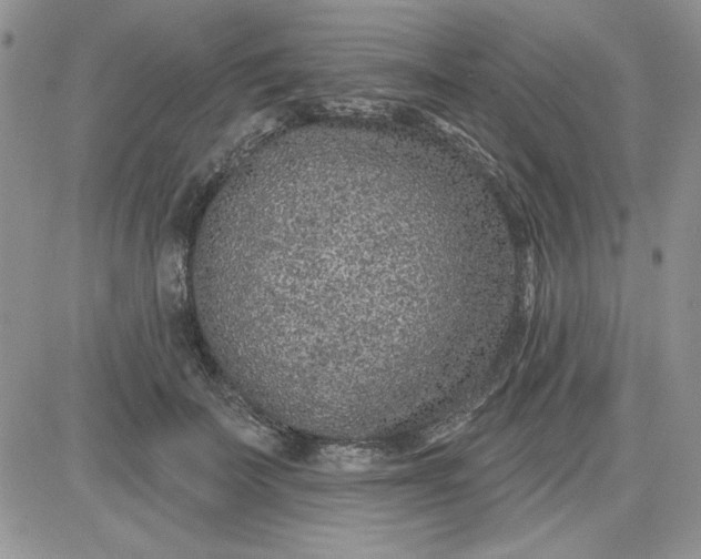 X0000081560699200701291150