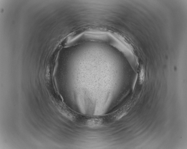 X0000081560700200701291150