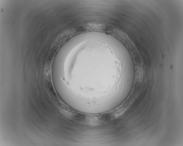 X0000081560701200701291150