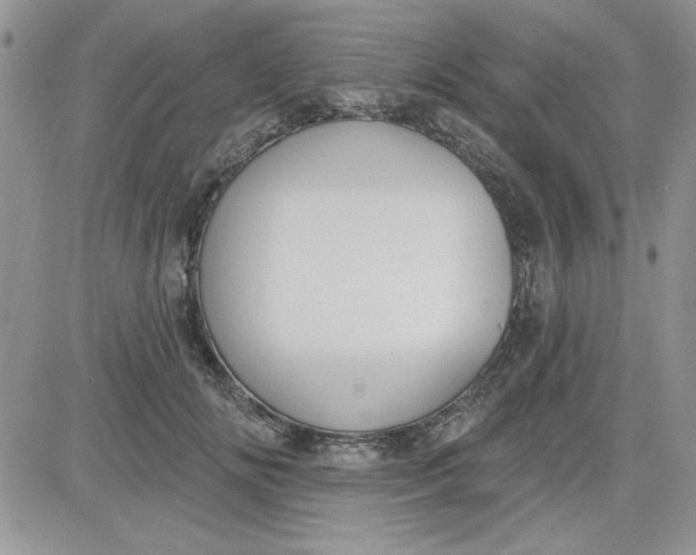 X0000081560702200701291150