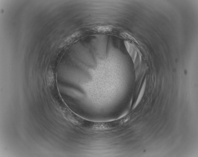 X0000081560704200701291150