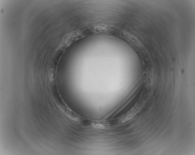 X0000081560706200701291150