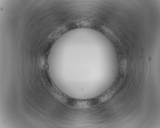 X0000081560709200701291150