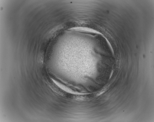 X0000081560710200701291150