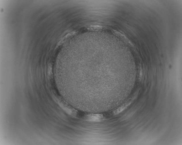 X0000081560711200701291150