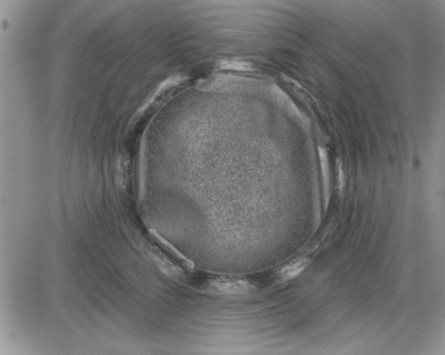 X0000081560712200701291150