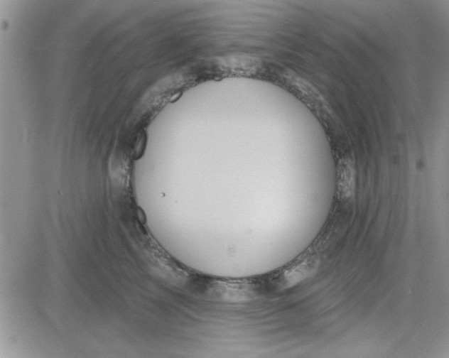 X0000081560713200701291150