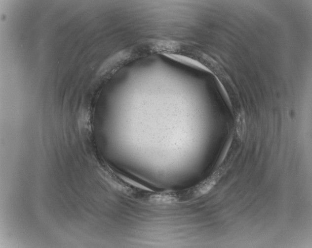 X0000081560714200701291150