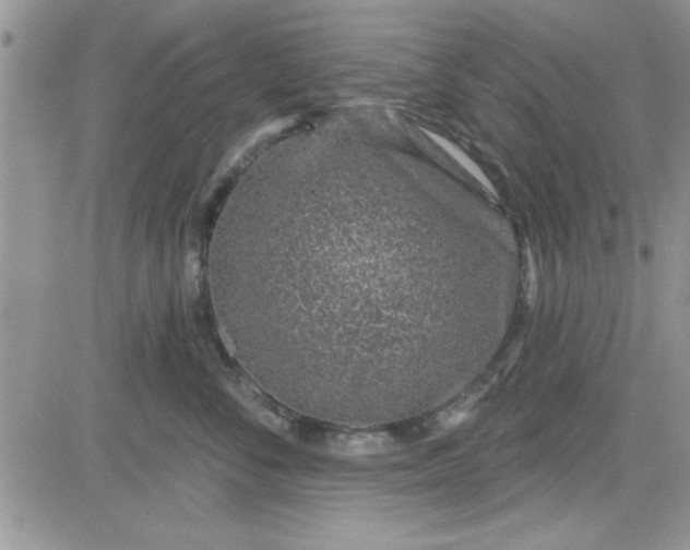 X0000081560716200701291150