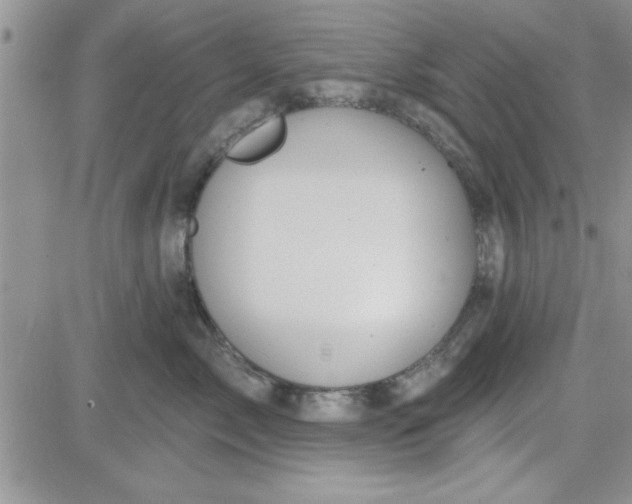 X0000081560717200701291150