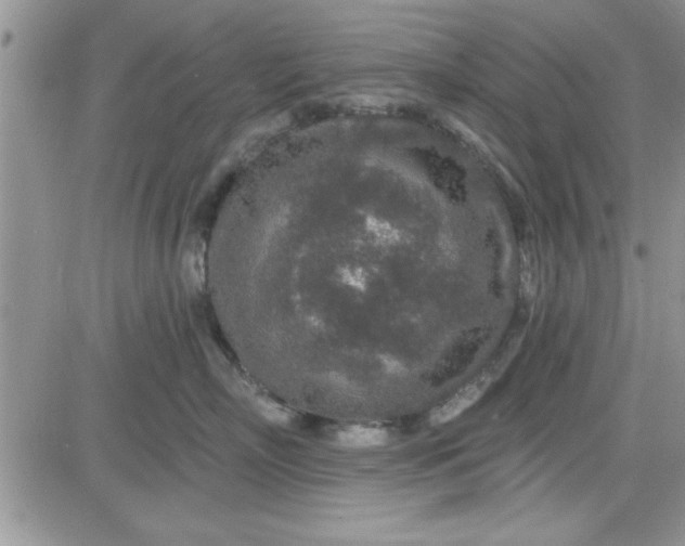 X0000081560718200701291150