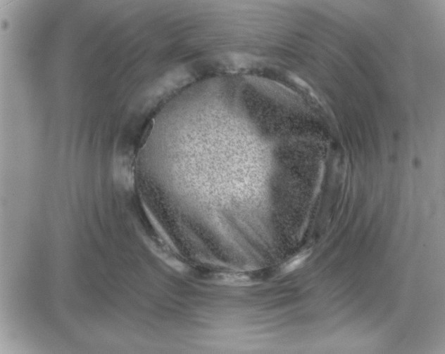 X0000081560719200701291149