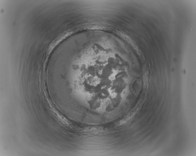 X0000081560721200701291149