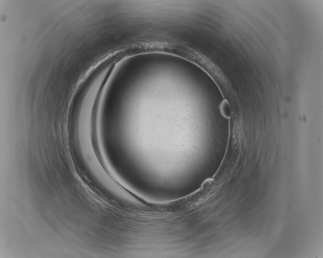 X0000081560722200701291149