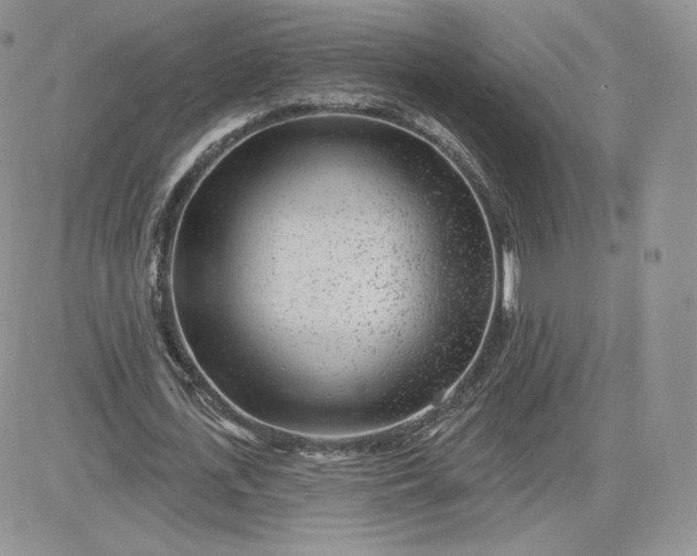 X0000081560723200701291149