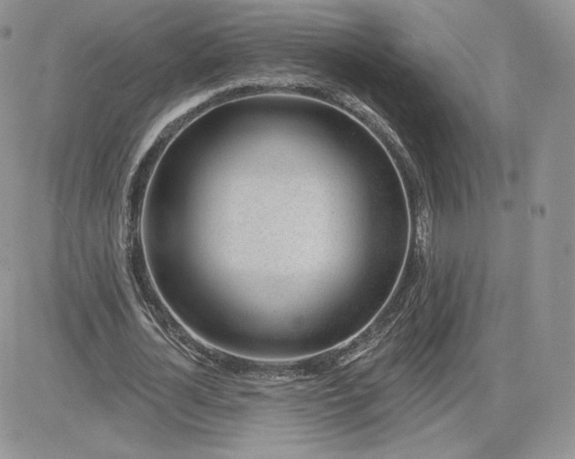 X0000081560724200701291149