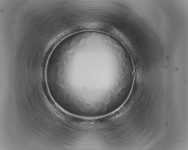 X0000081560725200701291149