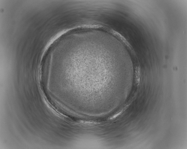 X0000081560726200701291149