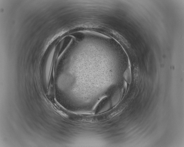 X0000081560727200701291149