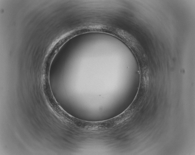 X0000081560728200701291149