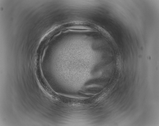 X0000081560730200701291149