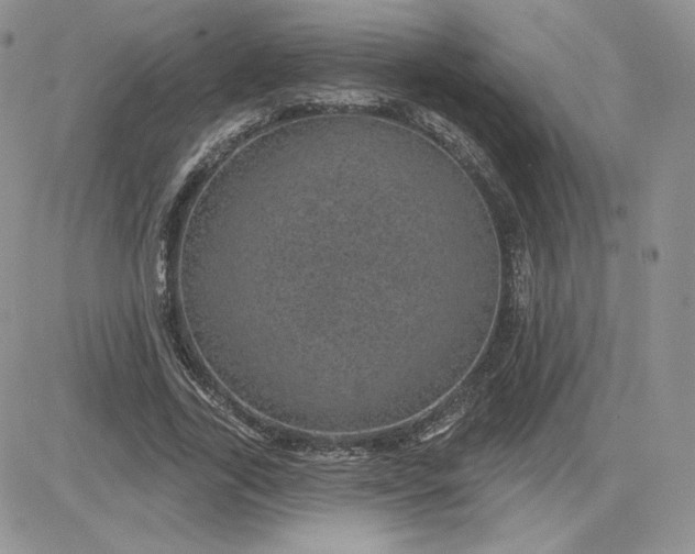 X0000081560731200701291149