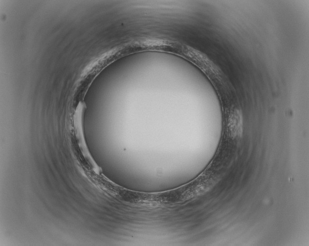 X0000081560732200701291149