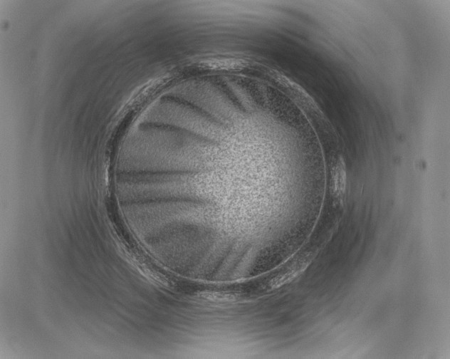 X0000081560733200701291149