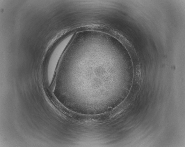 X0000081560734200701291149