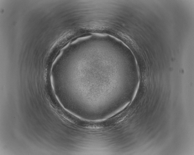 X0000081560735200701291149