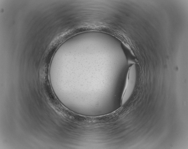 X0000081560736200701291149