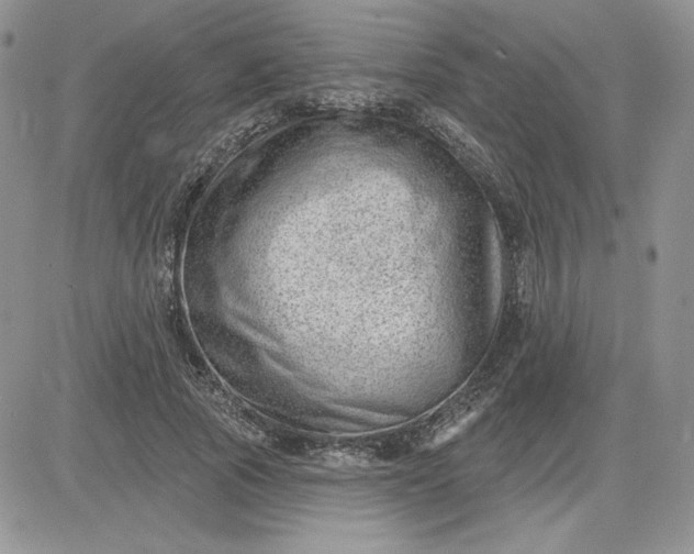 X0000081560737200701291149