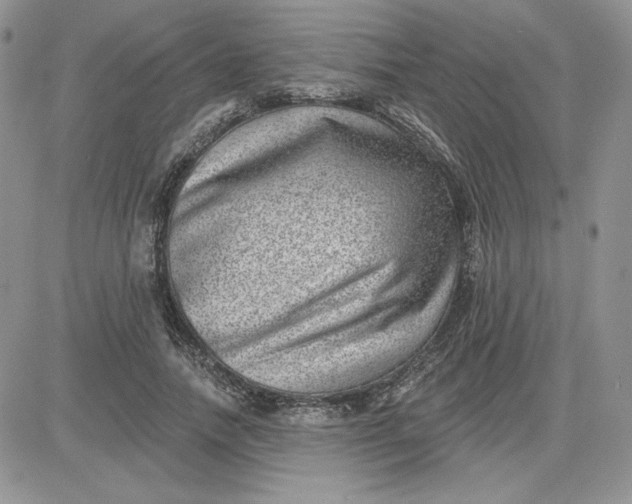 X0000081560738200701291149