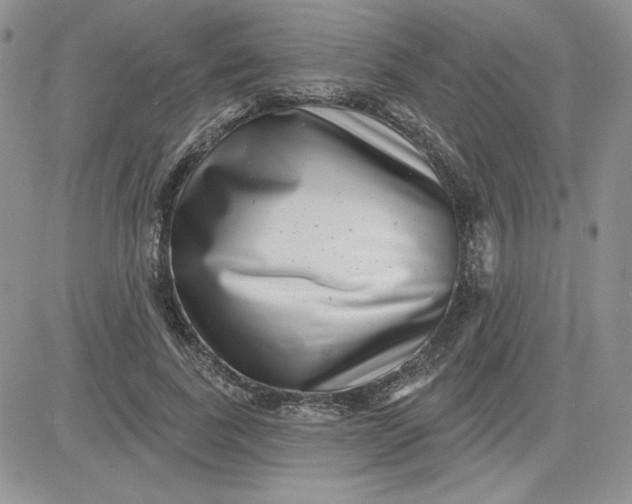 X0000081560739200701291149