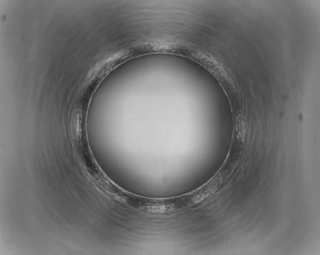 X0000081560740200701291149