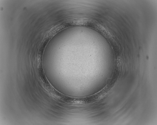 X0000081560741200701291149