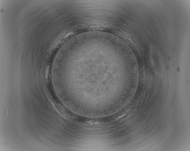 X0000081560742200701291149