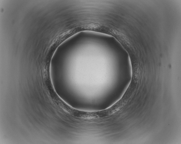 X0000081560743200701291149