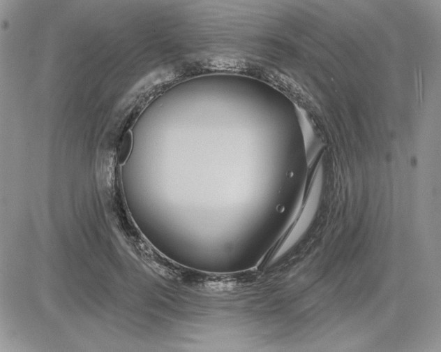 X0000081560744200701291149