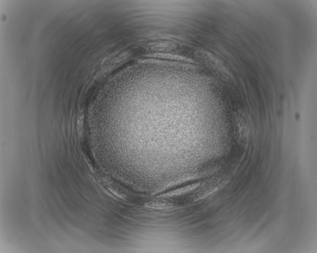 X0000081560745200701291149