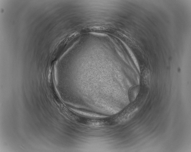 X0000081560746200701291149