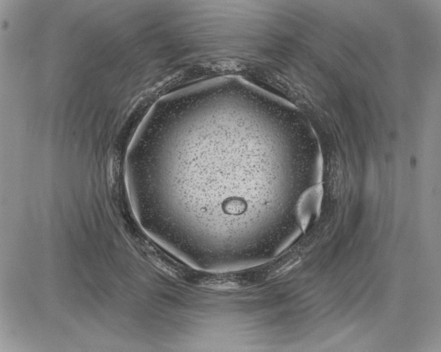 X0000081560747200701291149